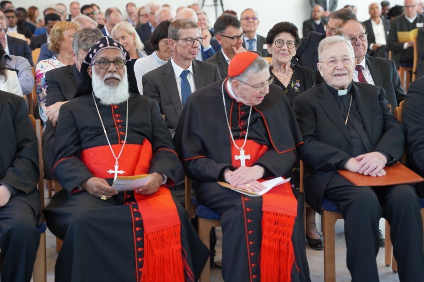 Bild Kardinäle Plenum